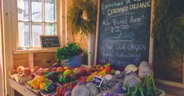 natural food store and cafe