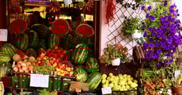 pos system for mini markets