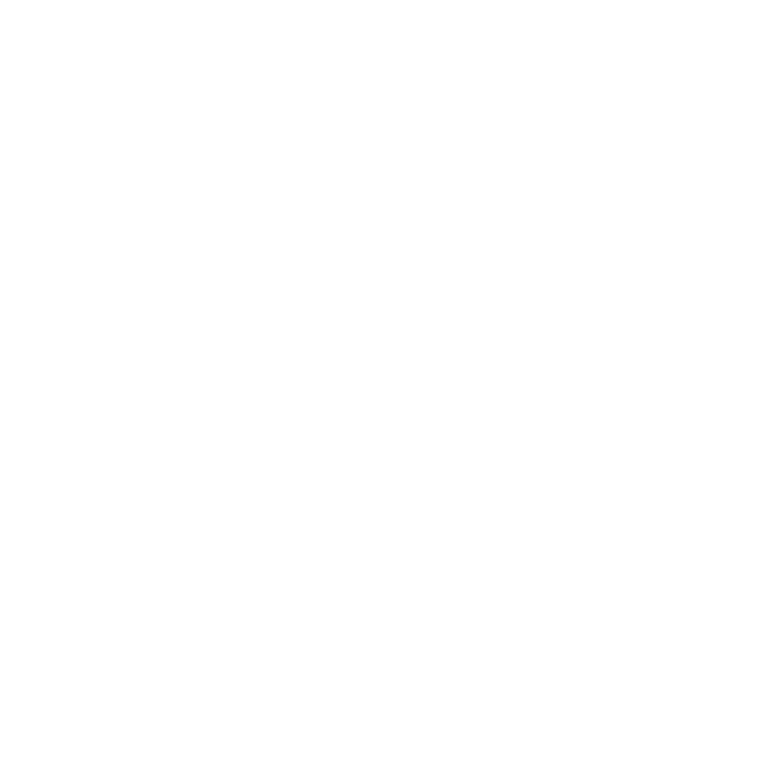 ePLUM License