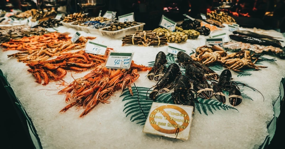 FishMarketHero_ITR