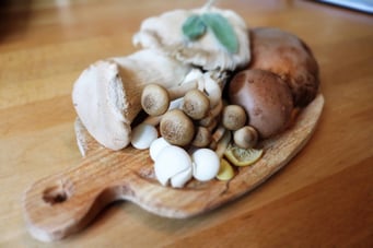 Functional Mushrooms