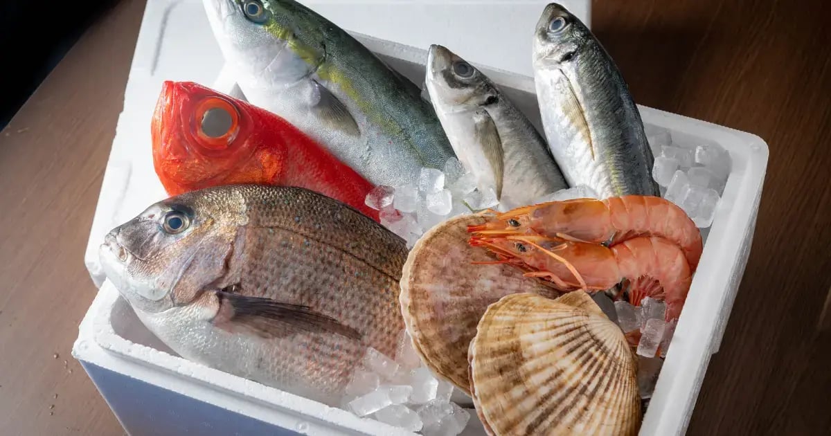 How to Ship Perishable Goods - 5 Mistakes to Avoid - BLOG