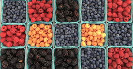 grocery-store-inventory-software