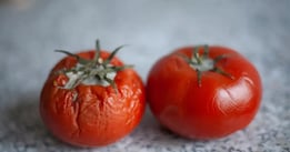 grocery spoilage tracking