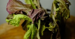 quality control in grocery stores