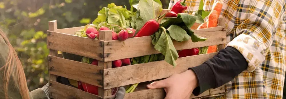 employee donating perishable groceries