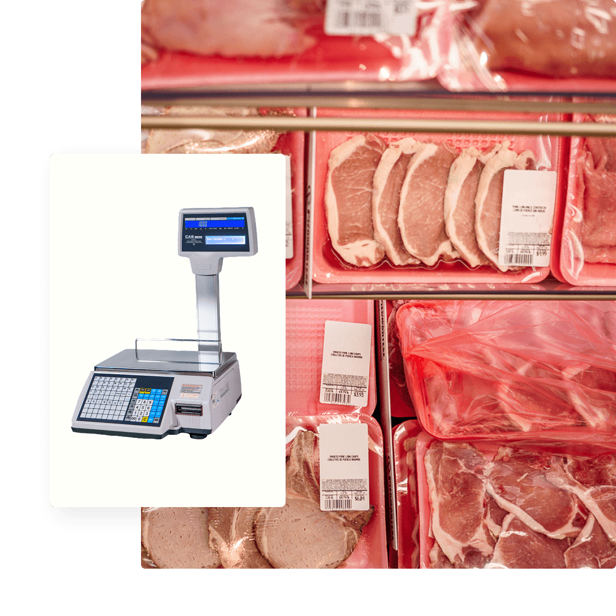 scale-butcher