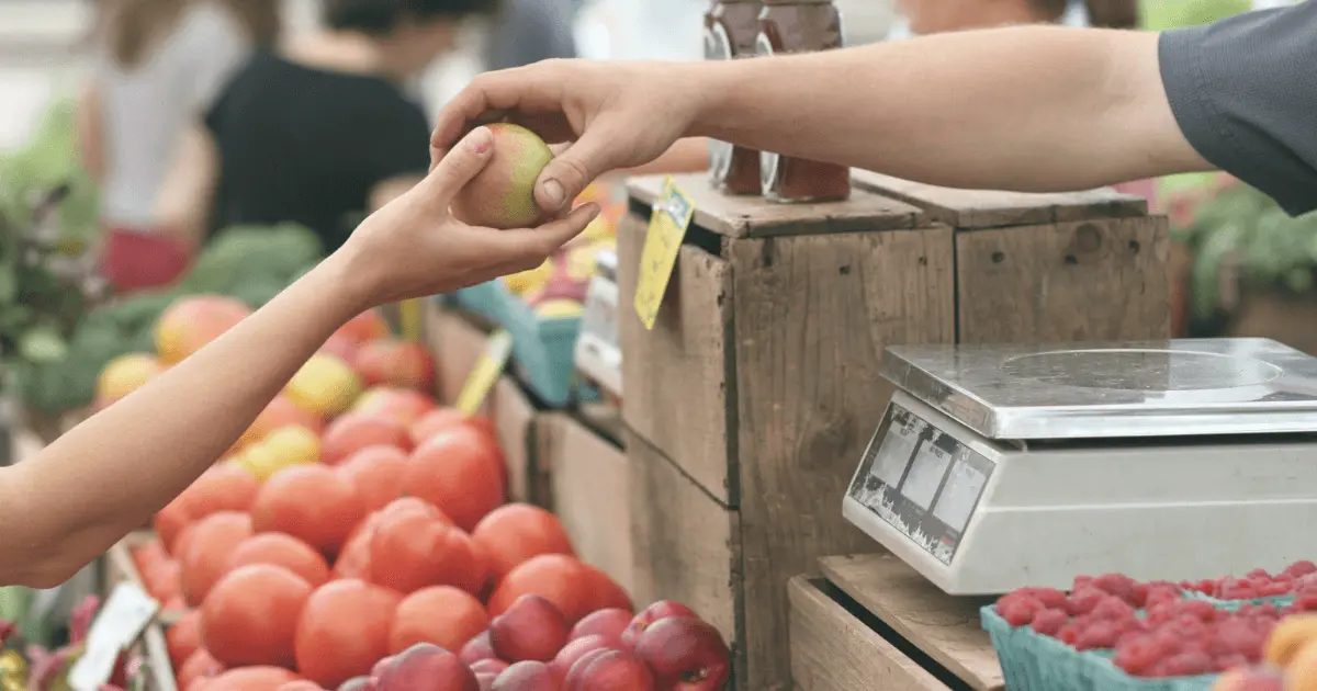 Unpacking the Functionality of an EBT POS System: 4 Grocery Insights