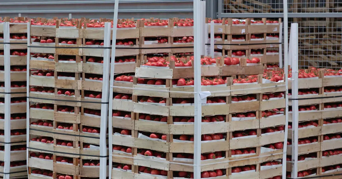 minimum order quantity for grocer stores